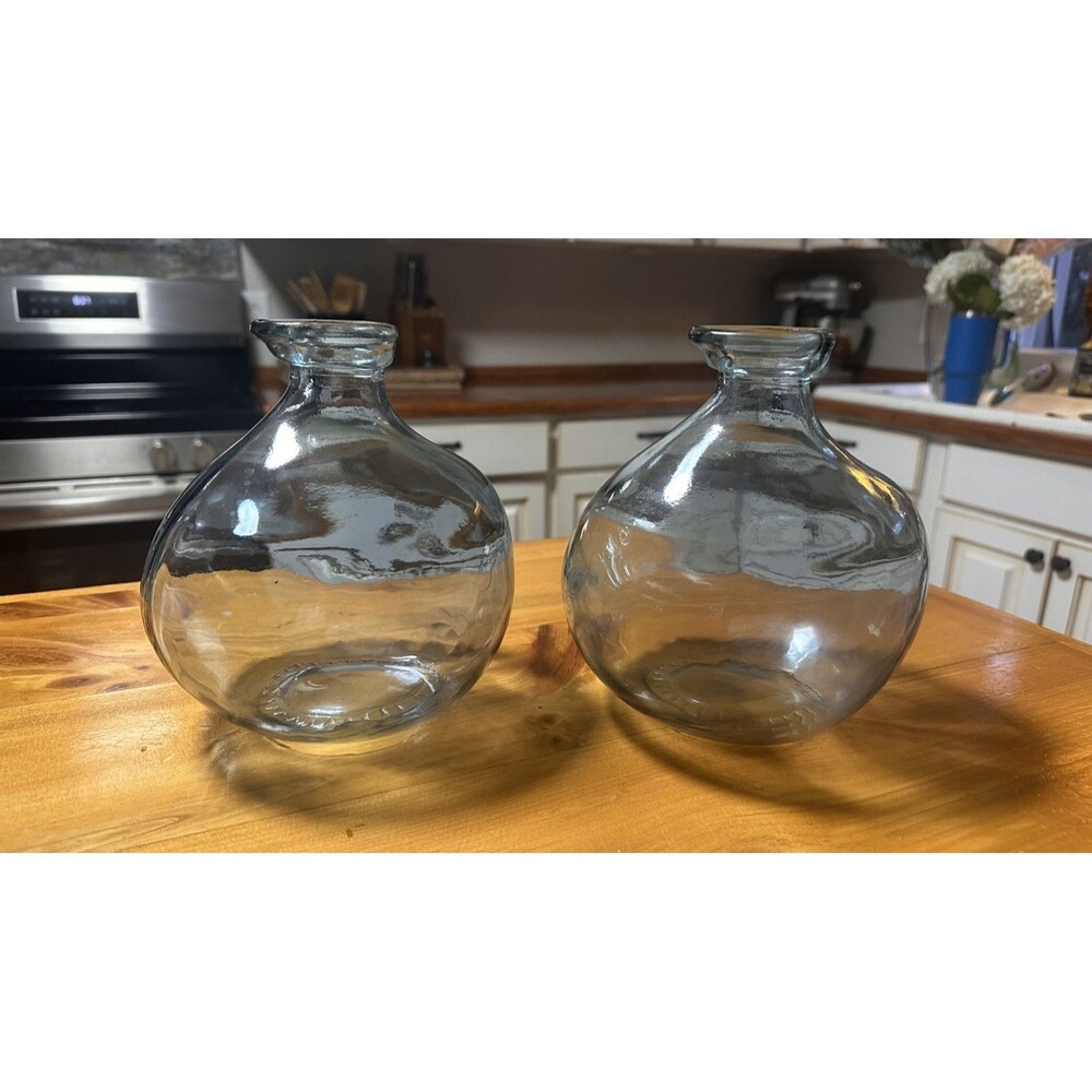 Vidrios San Miguel Aqua Recycled Glass Bubble/Balloon/Bulb Vase Set of 2